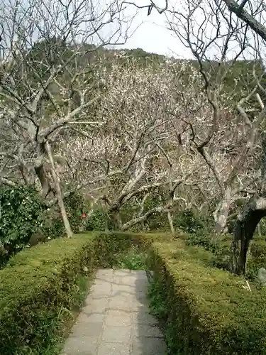 瑞泉寺の庭園