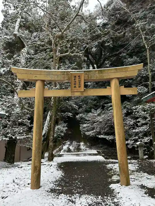 美濃國一宮 南宮大社の{uncategorized: "未分類", other: "その他", undefined: "問題あり", building: "その他建物", grave: "お墓", sacred_gate: "鳥居", guardian: "狛犬", statue: "像", buddha: "仏像", history: "歴史", nature: "自然", garden: "庭園", animal: "動物", pagoda: "塔", temizu: "手水舎", mountain_gate: "山門・神門", sanctuary: "本殿・本堂", subordinate: "末社・摂社", art: "芸術", scenery: "景色", jizo: "地蔵", ema: "絵馬", goshuin: "御朱印", omikuji: "おみくじ", items: "授与品その他", amulet: "お守り", goshuincho: "御朱印帳", eats: "食事", festival: "お祭り", votive_dance: "神楽", shichigosan: "七五三参", wedding: "結婚式", experience: "体験その他", initially: "初詣", around: "周辺", anti_infection: "感染症対策"}