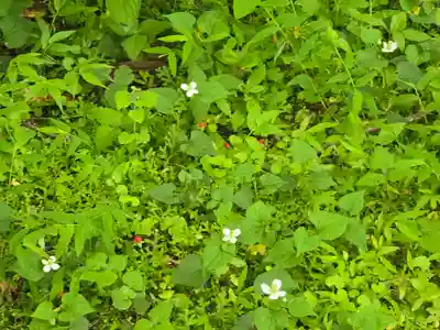 百済寺(滋賀県)