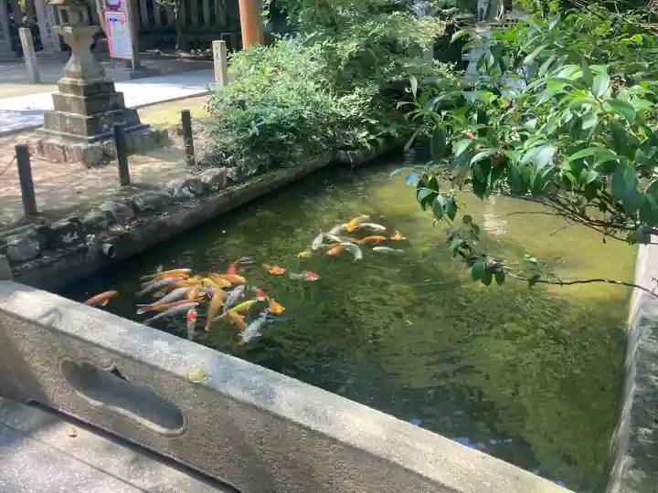 石鎚神社 口之宮 本社の動物