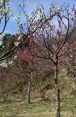 保久良神社(兵庫県)