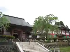 芝山仁王尊 観音教寺(千葉県)