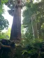 熊野神社の自然