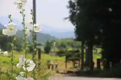 御札神社の景色
