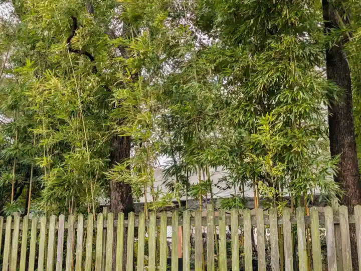 堀越神社の{uncategorized: "未分類", other: "その他", undefined: "問題あり", building: "その他建物", grave: "お墓", sacred_gate: "鳥居", guardian: "狛犬", statue: "像", buddha: "仏像", history: "歴史", nature: "自然", garden: "庭園", animal: "動物", pagoda: "塔", temizu: "手水舎", mountain_gate: "山門・神門", sanctuary: "本殿・本堂", subordinate: "末社・摂社", art: "芸術", scenery: "景色", jizo: "地蔵", ema: "絵馬", goshuin: "御朱印", omikuji: "おみくじ", items: "授与品その他", amulet: "お守り", goshuincho: "御朱印帳", eats: "食事", festival: "お祭り", votive_dance: "神楽", shichigosan: "七五三参", wedding: "結婚式", experience: "体験その他", initially: "初詣", around: "周辺", anti_infection: "感染症対策"}