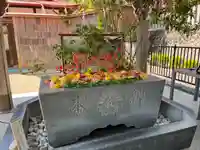 金蛇水神社の手水舎