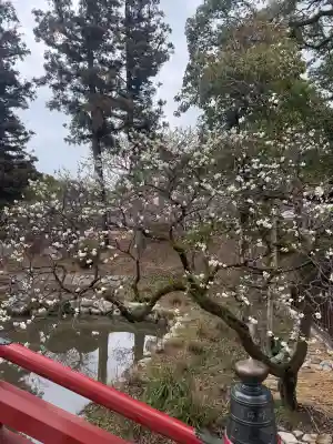 太宰府天満宮の{uncategorized: "未分類", other: "その他", undefined: "問題あり", building: "その他建物", grave: "お墓", sacred_gate: "鳥居", guardian: "狛犬", statue: "像", buddha: "仏像", history: "歴史", nature: "自然", garden: "庭園", animal: "動物", pagoda: "塔", temizu: "手水舎", mountain_gate: "山門・神門", sanctuary: "本殿・本堂", subordinate: "末社・摂社", art: "芸術", scenery: "景色", jizo: "地蔵", ema: "絵馬", goshuin: "御朱印", omikuji: "おみくじ", items: "授与品その他", amulet: "お守り", goshuincho: "御朱印帳", eats: "食事", festival: "お祭り", votive_dance: "神楽", shichigosan: "七五三参", wedding: "結婚式", experience: "体験その他", initially: "初詣", around: "周辺", anti_infection: "感染症対策"}