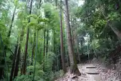 帳附神社の景色