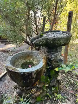 八事山 興正寺(愛知県)