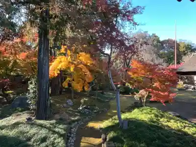 喜多院(埼玉県)
