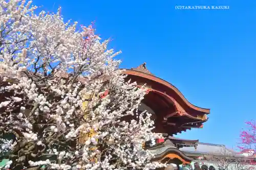 亀戸天神社(東京都)