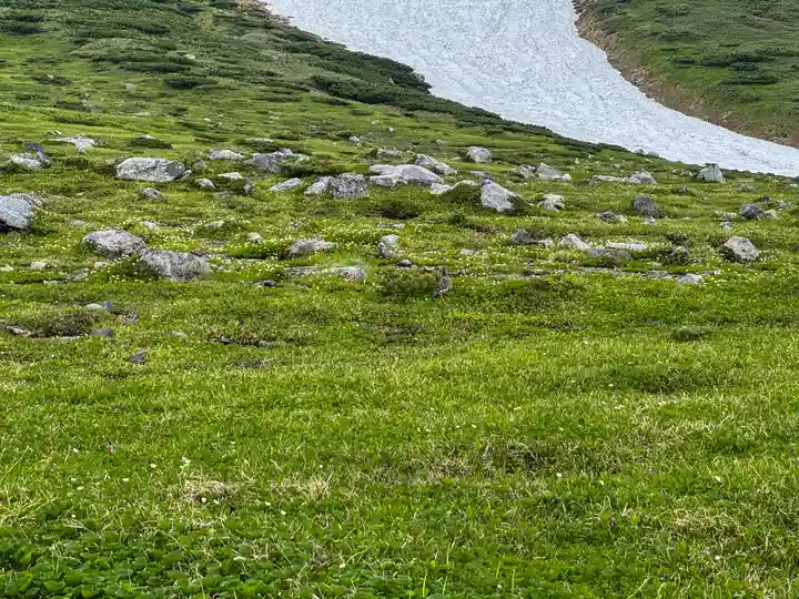 雄山神社峰本社の動物