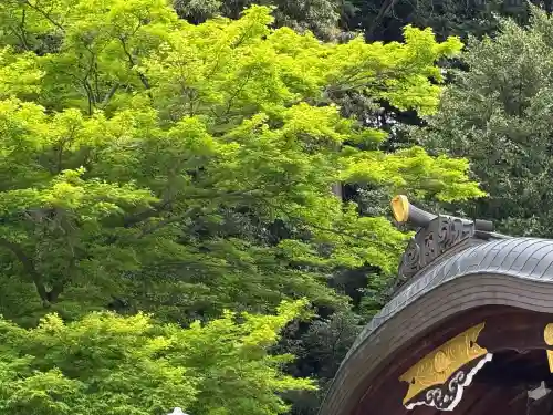 高麗神社(埼玉県)