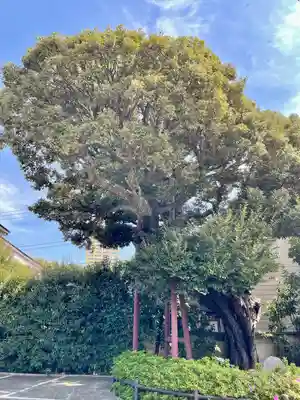 延命院(東京都)