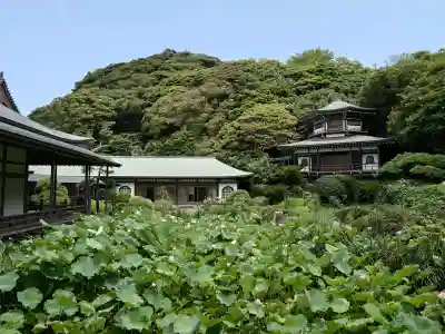 光明寺(神奈川県)
