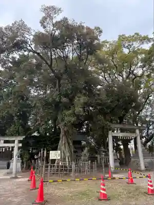 本刈谷神社(愛知県)