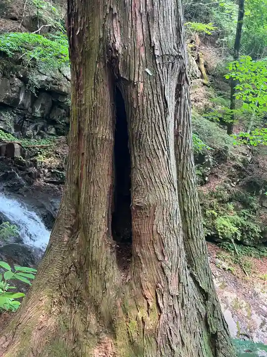 母の白滝神社(山梨県)