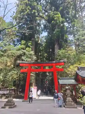 箱根神社の{uncategorized: "未分類", other: "その他", undefined: "問題あり", building: "その他建物", grave: "お墓", sacred_gate: "鳥居", guardian: "狛犬", statue: "像", buddha: "仏像", history: "歴史", nature: "自然", garden: "庭園", animal: "動物", pagoda: "塔", temizu: "手水舎", mountain_gate: "山門・神門", sanctuary: "本殿・本堂", subordinate: "末社・摂社", art: "芸術", scenery: "景色", jizo: "地蔵", ema: "絵馬", goshuin: "御朱印", omikuji: "おみくじ", items: "授与品その他", amulet: "お守り", goshuincho: "御朱印帳", eats: "食事", festival: "お祭り", votive_dance: "神楽", shichigosan: "七五三参", wedding: "結婚式", experience: "体験その他", initially: "初詣", around: "周辺", anti_infection: "感染症対策"}