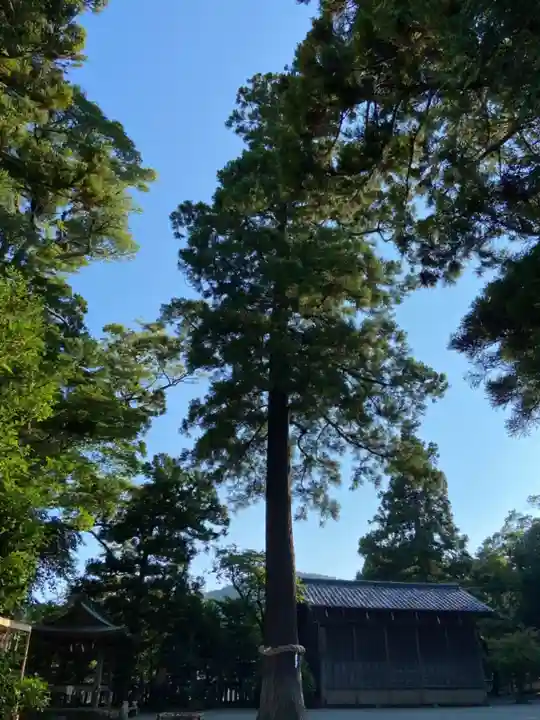 比々多神社の自然