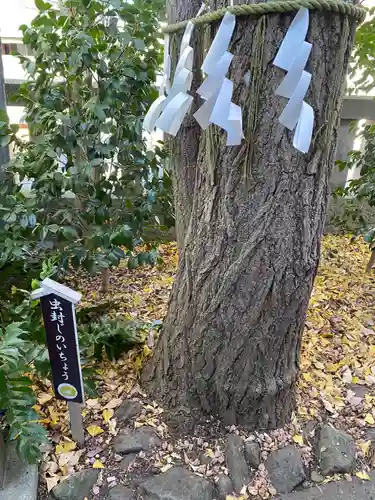 行田八幡神社(埼玉県)