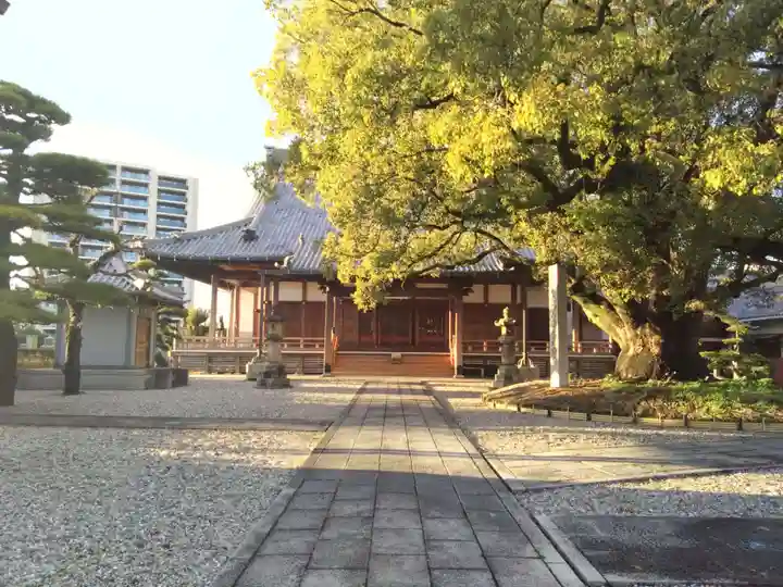 専光寺(愛知県)