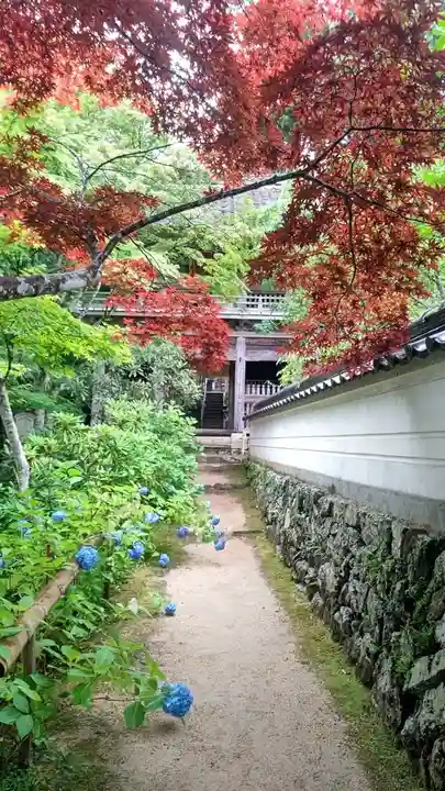 普門寺(岡山県)