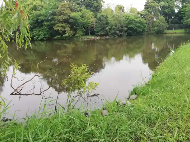 菊田神社の動物