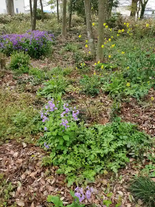 胸形神社の自然