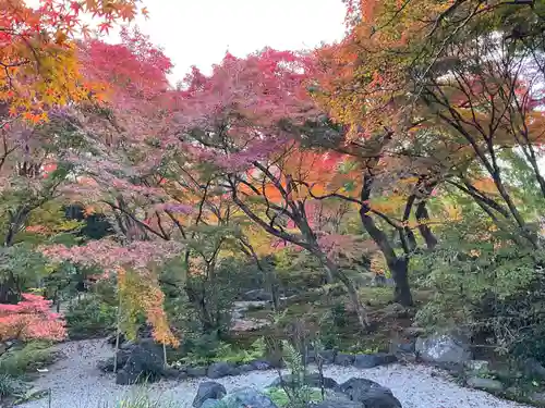 宝筐院(京都府)