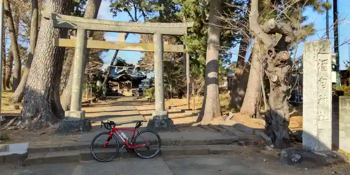 酒匂神社の鳥居