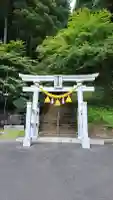 木幡山隠津島神社(二本松市)の{uncategorized: "未分類", other: "その他", undefined: "問題あり", building: "その他建物", grave: "お墓", sacred_gate: "鳥居", guardian: "狛犬", statue: "像", buddha: "仏像", history: "歴史", nature: "自然", garden: "庭園", animal: "動物", pagoda: "塔", temizu: "手水舎", mountain_gate: "山門・神門", sanctuary: "本殿・本堂", subordinate: "末社・摂社", art: "芸術", scenery: "景色", jizo: "地蔵", ema: "絵馬", goshuin: "御朱印", omikuji: "おみくじ", items: "授与品その他", amulet: "お守り", goshuincho: "御朱印帳", eats: "食事", festival: "お祭り", votive_dance: "神楽", shichigosan: "七五三参", wedding: "結婚式", experience: "体験その他", initially: "初詣", around: "周辺", anti_infection: "感染症対策"}