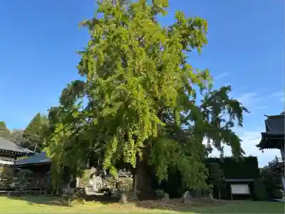 西光院(茨城県)