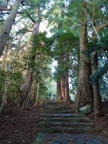 熊野那智大社の周辺