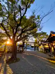 等彌神社の自然