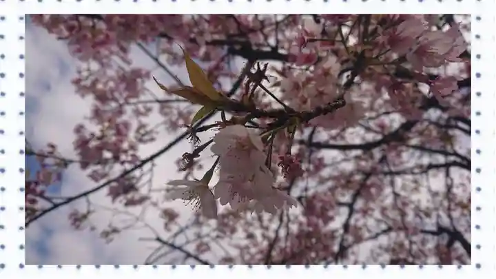 密藏院(埼玉県)