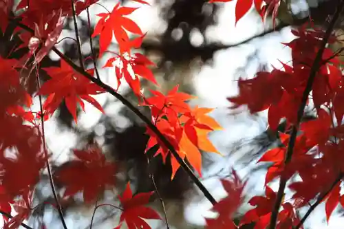 豊景神社の庭園