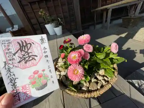 妙蓮寺の御朱印