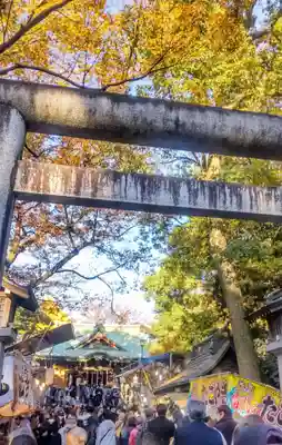 大鷲神社(東京都)