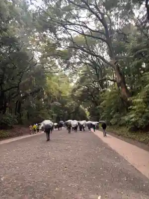 明治神宮(東京都)