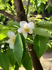 検見川神社の自然