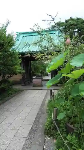 光則寺の山門