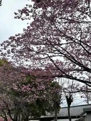 靜岡縣護國神社の{uncategorized: "未分類", other: "その他", undefined: "問題あり", building: "その他建物", grave: "お墓", sacred_gate: "鳥居", guardian: "狛犬", statue: "像", buddha: "仏像", history: "歴史", nature: "自然", garden: "庭園", animal: "動物", pagoda: "塔", temizu: "手水舎", mountain_gate: "山門・神門", sanctuary: "本殿・本堂", subordinate: "末社・摂社", art: "芸術", scenery: "景色", jizo: "地蔵", ema: "絵馬", goshuin: "御朱印", omikuji: "おみくじ", items: "授与品その他", amulet: "お守り", goshuincho: "御朱印帳", eats: "食事", festival: "お祭り", votive_dance: "神楽", shichigosan: "七五三参", wedding: "結婚式", experience: "体験その他", initially: "初詣", around: "周辺", anti_infection: "感染症対策"}
