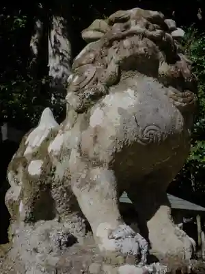 崇道神社の狛犬