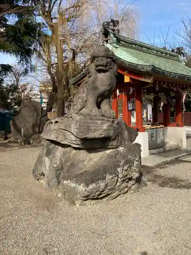 浅草神社の狛犬