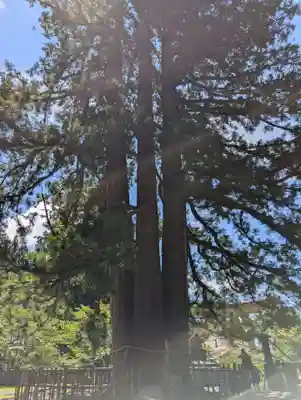 戸隠神社中社(長野県)
