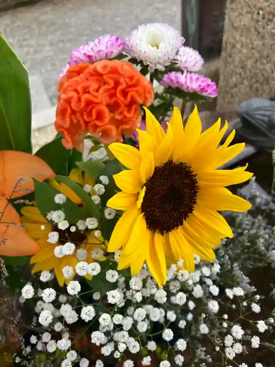 水堂須佐男神社(兵庫県)