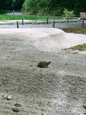 明月院(神奈川県)