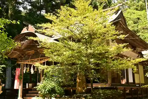 岡森神社(愛媛県)