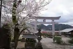 気多若宮神社の鳥居