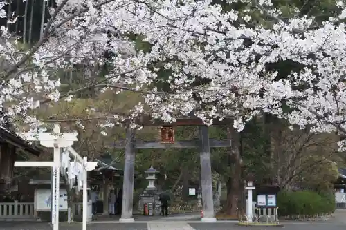 高麗神社の{uncategorized: "未分類", other: "その他", undefined: "問題あり", building: "その他建物", grave: "お墓", sacred_gate: "鳥居", guardian: "狛犬", statue: "像", buddha: "仏像", history: "歴史", nature: "自然", garden: "庭園", animal: "動物", pagoda: "塔", temizu: "手水舎", mountain_gate: "山門・神門", sanctuary: "本殿・本堂", subordinate: "末社・摂社", art: "芸術", scenery: "景色", jizo: "地蔵", ema: "絵馬", goshuin: "御朱印", omikuji: "おみくじ", items: "授与品その他", amulet: "お守り", goshuincho: "御朱印帳", eats: "食事", festival: "お祭り", votive_dance: "神楽", shichigosan: "七五三参", wedding: "結婚式", experience: "体験その他", initially: "初詣", around: "周辺", anti_infection: "感染症対策"}